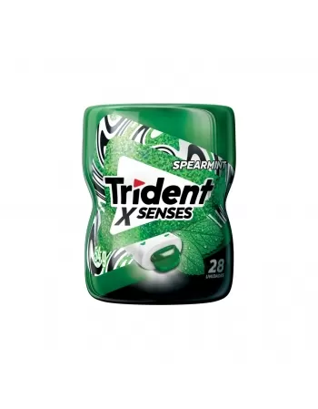 TRI GARR MENTA 6DSX6UNX54G